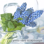 ﾑｽｶﾘ　ﾋﾞｯｸｽﾏｲﾙ